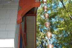 Buckleys Photos (12)