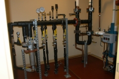 Haddon Pediatric (9)