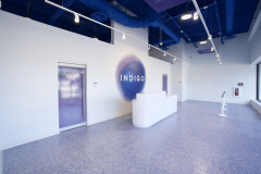 Indigo-Cannabis-4