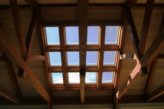 Paz Interior (80)