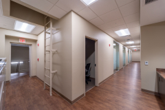 Rastelli-Ofice-Expansion-20