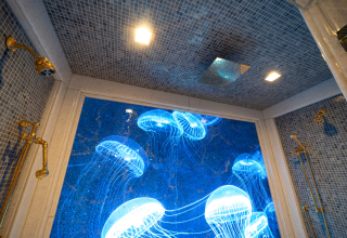 Singh-Indoor-Pool-3